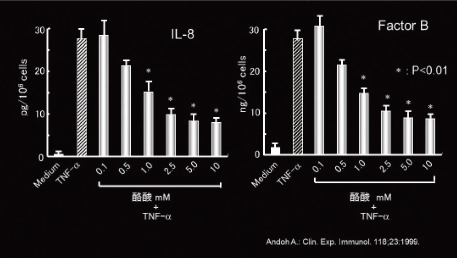TNF – α により誘導される HT – 29 細胞のタンパク産生に対する酪酸の影響